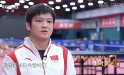 樊振东加盟德甲联赛意在洛杉矶奥运会？资深业内人士：这个可以有